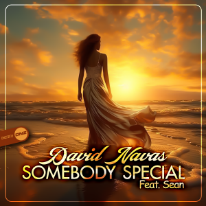 David Navas Feat. Sean - Somebody Special