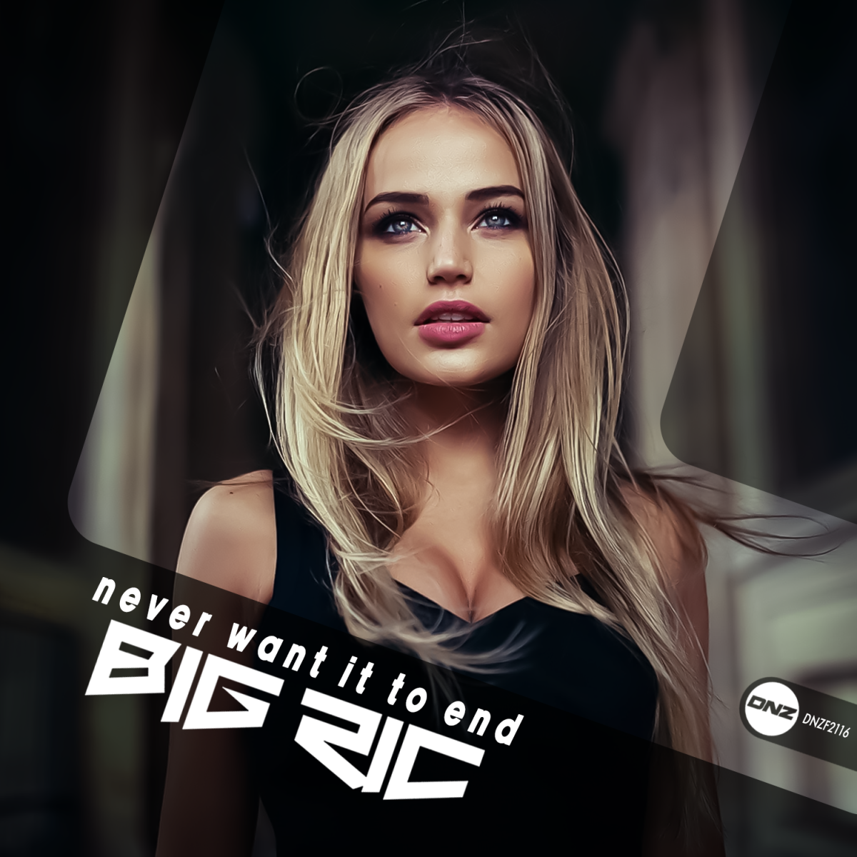 Big Ric – Never Want It To End – DNZ Records