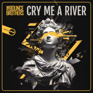 The Bounce Brothers - Cry Me A River