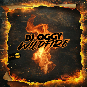 DJ Oggy - Wildfire