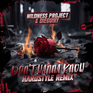 Wildness Project & Dieguiky - Don't Wanna Know Hardstyle Remix